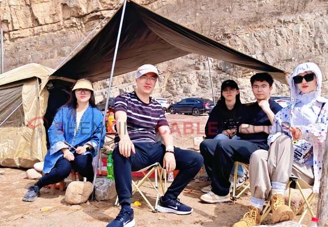 Shenxing Cable International Division empowers cable trade with a global vision