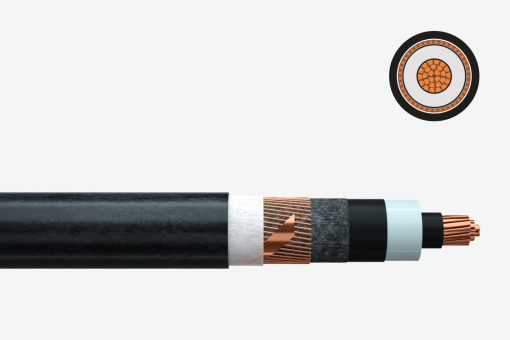 N2XS(F)2Y/N2XS(FL)2Y/N2XS2Y