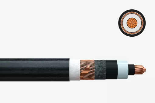 N2XS(F)2Y/N2XS(FL)2Y/N2XS2Y