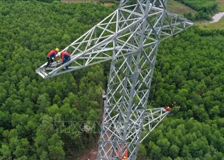 Why Are High-Voltage Power Lines Uninsulated While Household Wires Are Insulated?